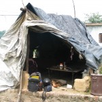 People live in such shacks